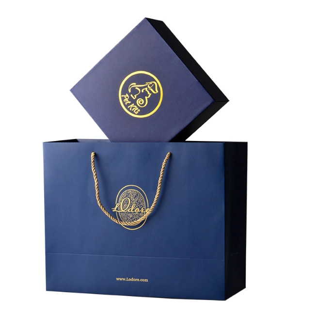 Luxury Gift Bag Custom Paper Packaging Shopping Bag/Paper Bag for Clothing