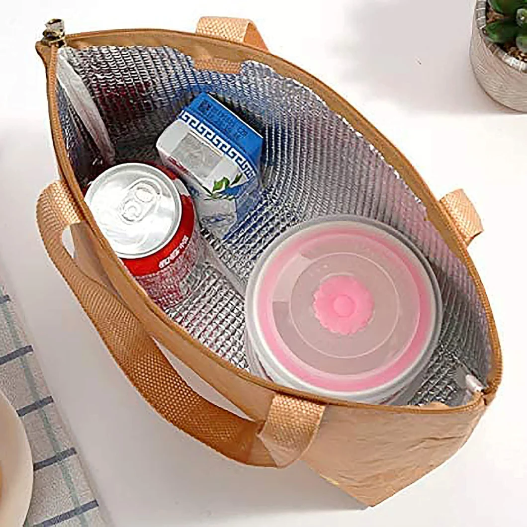 Reusable Washable Brown Tyvek Thermal Insulated Lunch Paper Cooling Chiller Cooler Bag